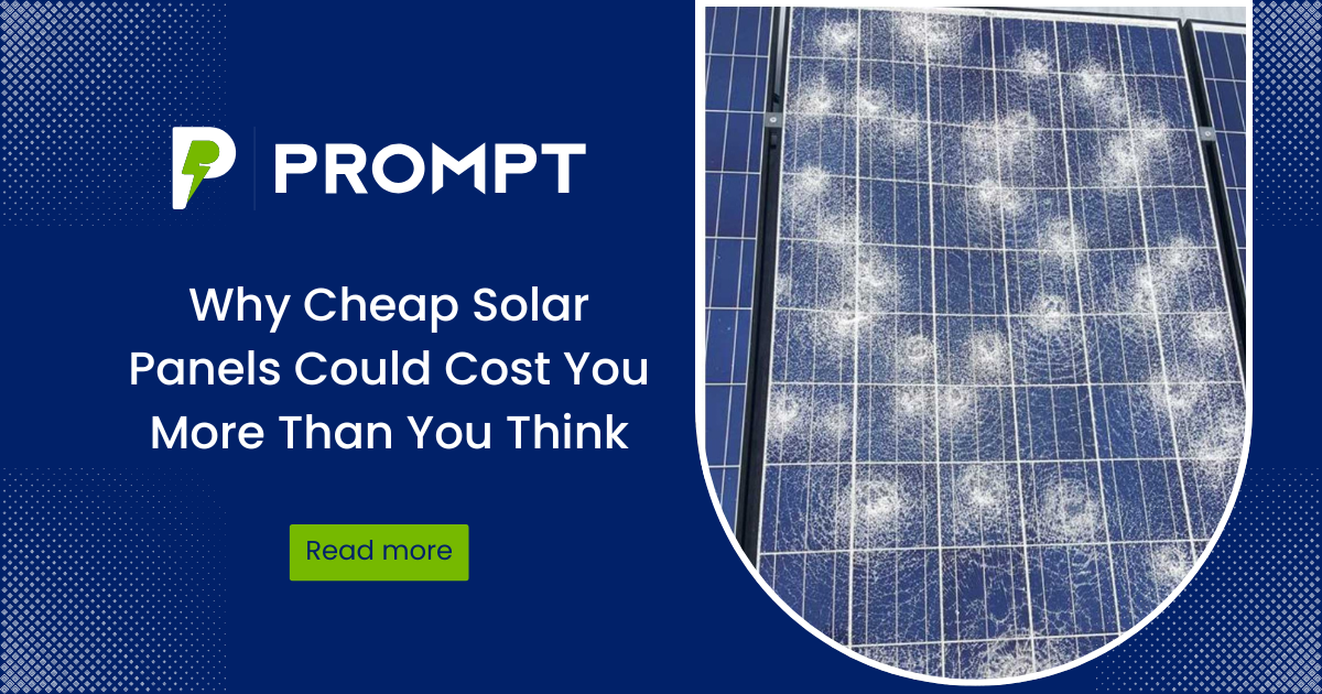 Why Cheap Solar Panels Could Cost You More Than You Think